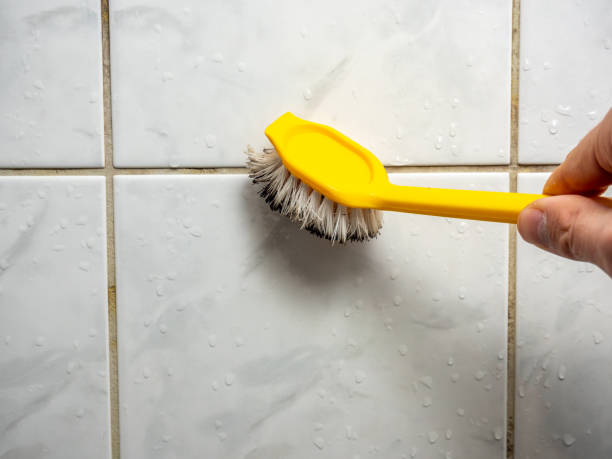 Best Mold Cleaning Services  in Wildwood, TN
