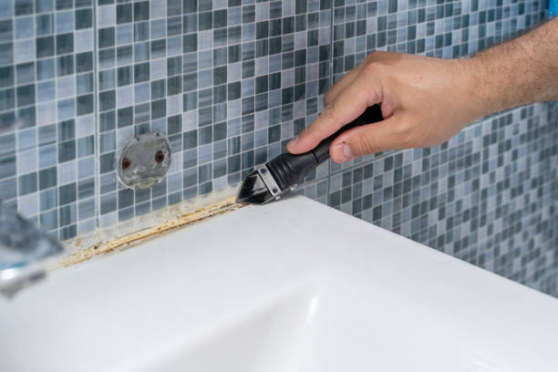 Best Emergency Mold Removal  in Wildwood, TN