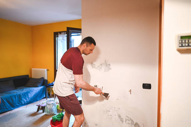 Best Fast Mold Removal  in Wildwood, TN